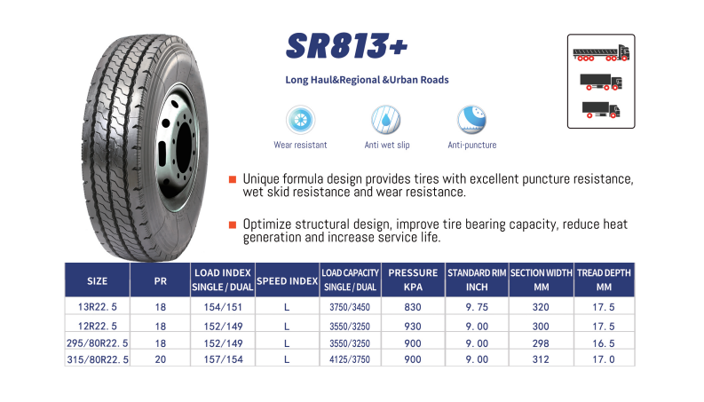 sr813.png